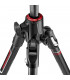 Manfrotto statiivikomplekt MKBFRC4GTXP-BH Befree GT XPRO