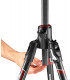 Manfrotto statiivikomplekt MKBFRC4GTXP-BH Befree GT XPRO