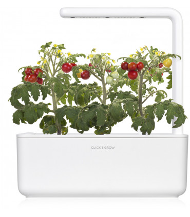 Click & Grow Smart Garden refill Minitomat 3tk