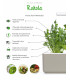 Click & Grow Smart Garden refill Rukola 3tk