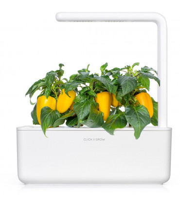 Click & Grow Smart Garden refill Kollane paprika 3tk