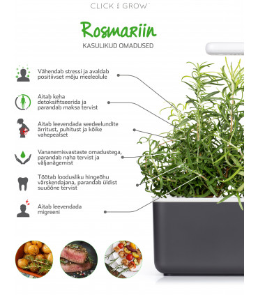 Click & Grow Smart Garden refill Rosmariin 3tk