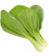 Click & Grow Smart Garden refill Pak Choi 3tk