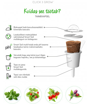 Click & Grow Smart Garden refill Lemmalts 3tk