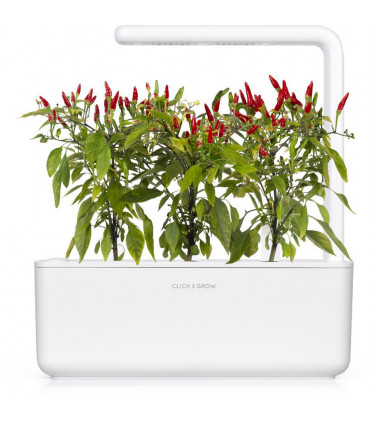 Click & Grow Smart Garden refill Piri Piri tšillipipar 3tk