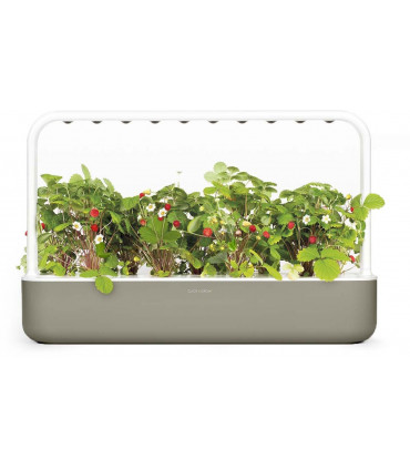 Click & Grow Smart Garden 9, beež