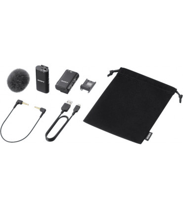 Sony juhtmevaba mikrofon ECM-W2BT Wireless