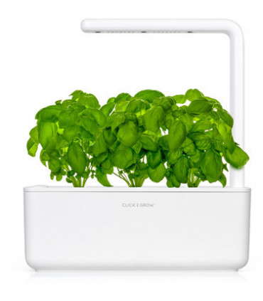 Click & Grow Smart Garden refill Basiilik 3tk