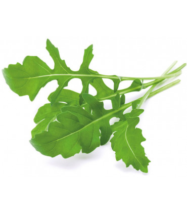 Click & Grow Smart Garden refill Rukola 3tk