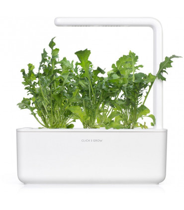 Click & Grow Smart Garden refill Rukola 3tk