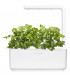 Click&Grow Click&Grow Smart Garden refill Koriander 3tk