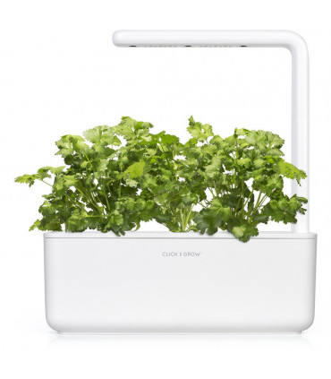 Click&Grow Click&Grow Smart Garden refill Koriander 3tk