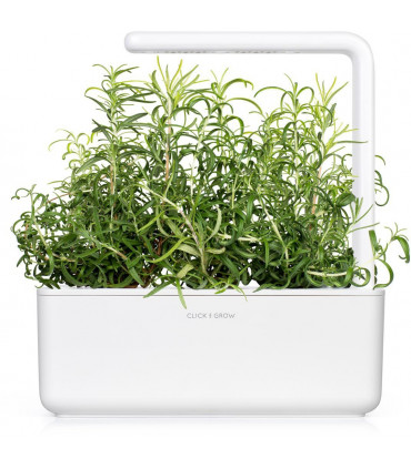 Click & Grow Smart Garden refill Rosmariin 3tk