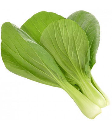 Click & Grow Smart Garden refill Pak Choi 3tk