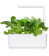 Click & Grow Smart Garden refill Pak Choi 3tk