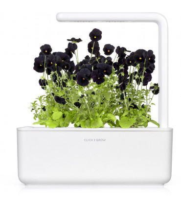 Click & Grow Smart Garden refill Must kannike 3tk