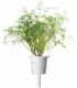 Click & Grow Smart Garden refill Till 3tk