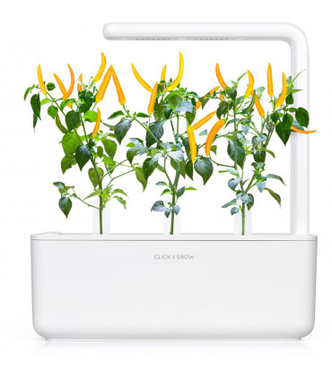 Click & Grow Smart Garden refill Kollane tšilli 3tk