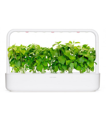 Click & Grow Smart Garden refill Kaneelbasiilik 3tk
