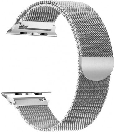 Tech-Protect kellarihm MilaneseBand Apple Watch 4/5/6/7/SE 38/40/41mm, hõbedane
