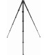 Peak Design statiiv Travel Tripod Carbon