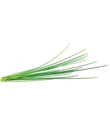 Click & Grow Smart Garden refill Murulauk 3tk