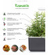 Click & Grow Smart Garden refill Rosmariin 3tk