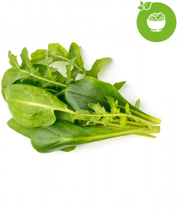 Click & Grow Plant Pod Salad Mix 9tk