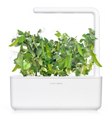 Click & Grow Smart Garden refill Hernes 3tk