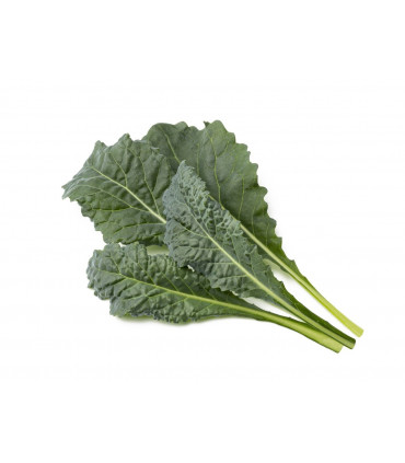 Click & Grow Smart Refill Itaalia lehtkapsas 3tk