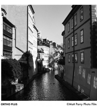 Ilford film Ortho Plus 120