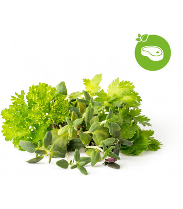 Click & Grow Plant Pod Steak Mix 9tk